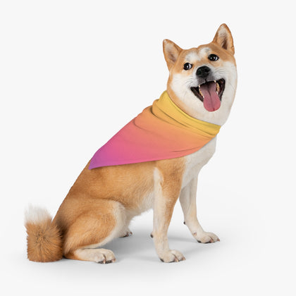 Pet Bandana