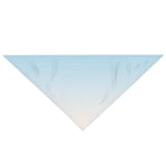 Color Gradient  Pet Bandana