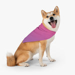 Color Gradient Pet Bandana