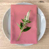 Color Gradient Napkins