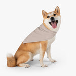 Nude Color Pet Bandana