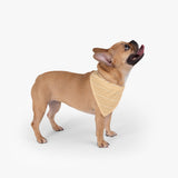 Diamond Pattern Pet Bandana