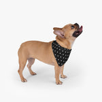 Polka Dots Pet Bandana