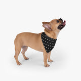 Polka Dots Pet Bandana