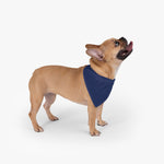 Deep Blue Pet Bandana