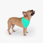 Blue Green Pet Bandana