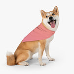 Color Gradient  Pet Bandana