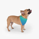 Color Gradient Pet Bandana