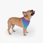 Color Gradient Pet Bandana