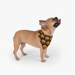 Pattern Pet Bandana