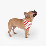 Love Hearts Pet Bandana