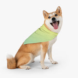 Color Gradient Pet Bandana