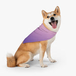 Color Gradient Pet Bandana