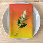 Color Gradient Napkins