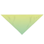 Color Gradient Pet Bandana