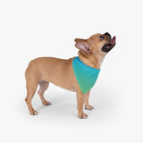 Color Gradient Pet Bandana