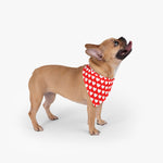 Love Hearts Pet Bandana