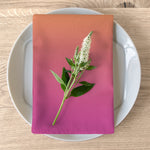 Color Gradient Napkins