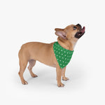 Polka Dots Pet Bandana