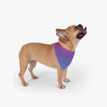 Color Gradient Pet Bandana