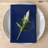 Deep Blue Napkins