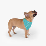 Polka Dots Pet Bandana