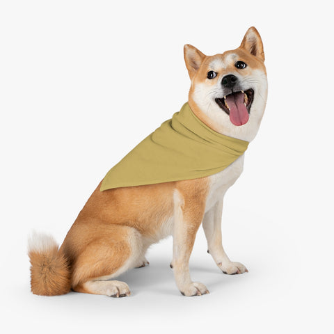 Golden Pet Bandana