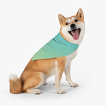 Color Gradient Pet Bandana