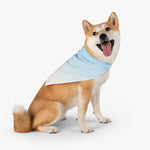 Color Gradient  Pet Bandana