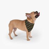 Love Hearts Pet Bandana