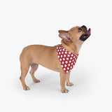 Star Pattern Pet Bandana