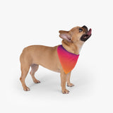 Color Gradient Pet Bandana