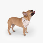 Polka Dots Pet Bandana