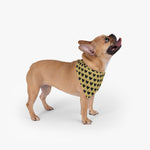 Love Hearts Pet Bandana