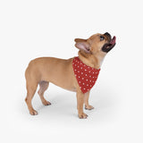 Polka Dots Pet Bandana